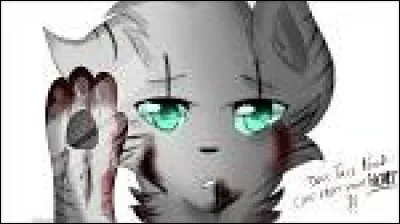 Si oui, comment s'appellent-ils ?