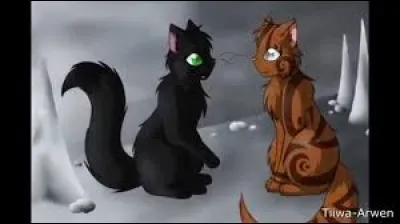 Qui est la compagne du fils de Plume Grise (Pelage d'Orage) ?