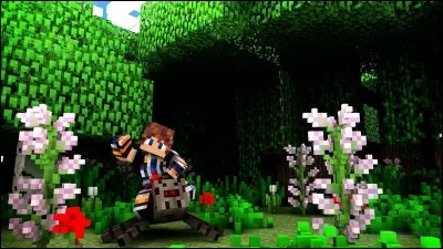 Qui sont ses meilleurs amis, avec qui il fait la plupart des lives Minecraft ?