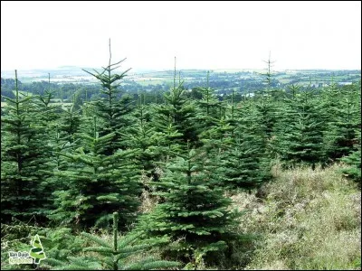 Il faudrait trouver l'image qui se trouve avec celle-ci.