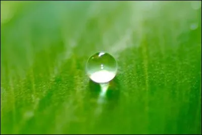 En moyenne, quelle est la quantité d'eau conseillée par jour pour un adulte ?