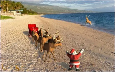 Comment dit-on "Joyeux Noël" en créole réunionnais ?