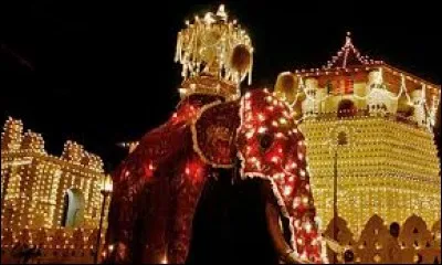 Dans quel pays a lieu la fête de la Perahera, au cours de laquelle la relique de la dent de Bouddha fait l'objet d'une procession ?