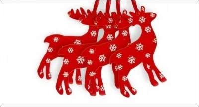 Que vois-tu sur cette image ?