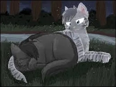 Comment meurt Rivière d'Argent ?