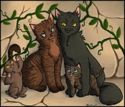 Même question pour Pelage d'Orage ?