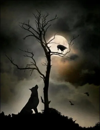 Quel hybride était Croc-Blanc ?