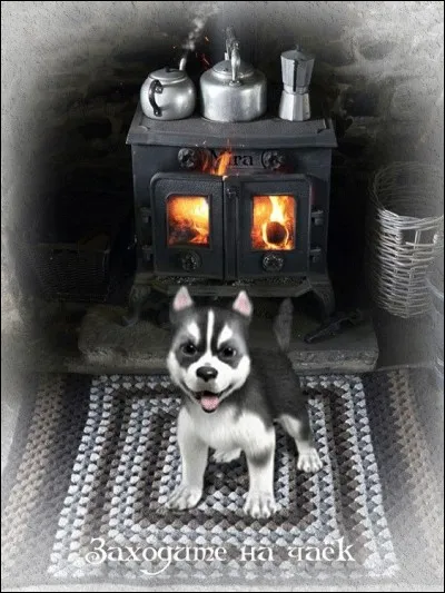 Qu'est-ce que la cuisson au blanc ?