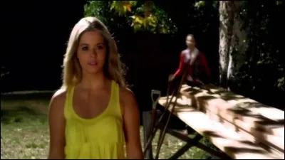 Qui a été accusé par Wilden, du meurtre d'Alison ?