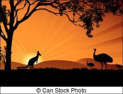 Quelle est la "véritable" origine étymologique du mot "kangourou" ?