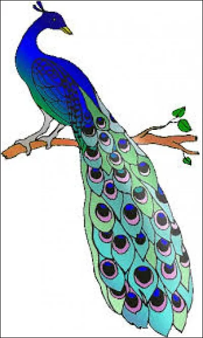 Remettez dans le bon ordre les 8 lettres contenues dans "Léon Paon" et cliquez sur la photo qui convient.