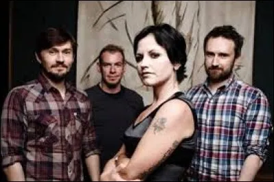Dans l'album ''Something Else'' , les Cranberries ont enregistré d'anciennes chansons et trois nouvelles en version acoustique accompagné d'un quatuor à cordes. Parmi ces propositions, quelle est leur nouvelle chanson ?