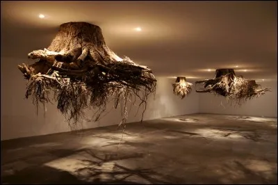 Dans quelle culture retrouve-t-on la symbolique de l'arbre inversé ?