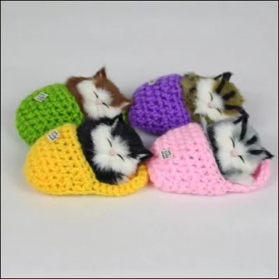 À quelle espèce animale appartient le chat ?