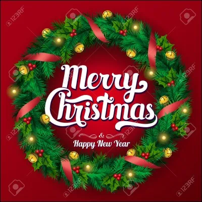 J'aimerait vous souaitez a touse un joyeux No&euml;l !