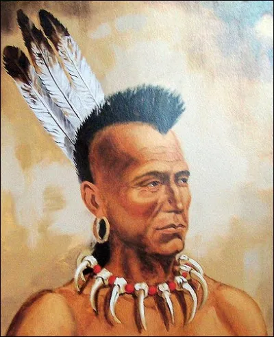 Qui a écrit : 'Le Dernier des Mohicans' ?