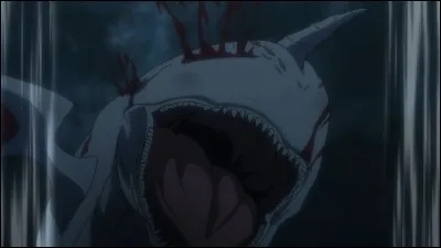 De quel anime vient cette baleine blanche ?