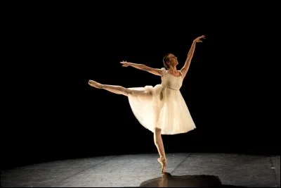 Quel monument représente la danse ?