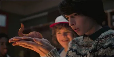 Quel est le nom que donne Dustin aux créatures du monde à l'envers ? // What is Dustin's name to the creatures of the world upside down ?