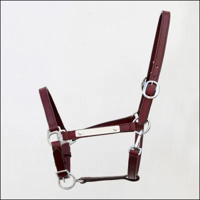 Comment s'appelle cette chose sur la photo ?