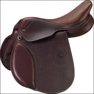 Comment s'appelle cette chose ?