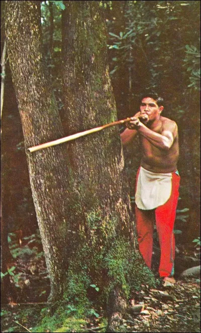 Ne comptez pas sur moi pour vous souffler la réponse !