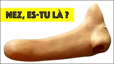 Montrez que vous avez du nez, messire, et à la fin de l'envoi, touchez !