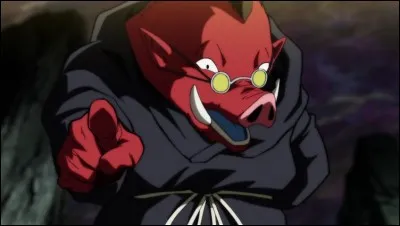 Quelle est la capacité de Dr.Rota ?