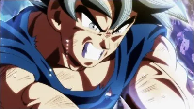 Comment s'appelle la nouvelle forme de Goku ?