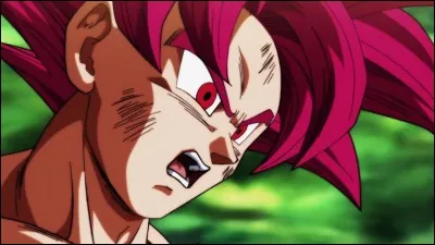 Que font Kale et Caulifla à la fin de l'épisode 114 ?