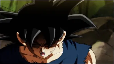 Quelle forme Goku utilise-t-il à la fin de l'épisode 115 ?
