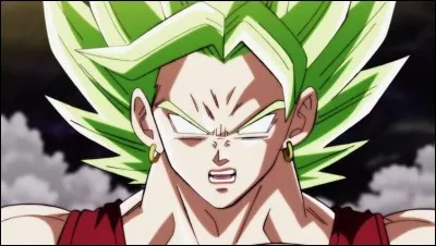 Par qui est battue Kale de l'univers 6 ?