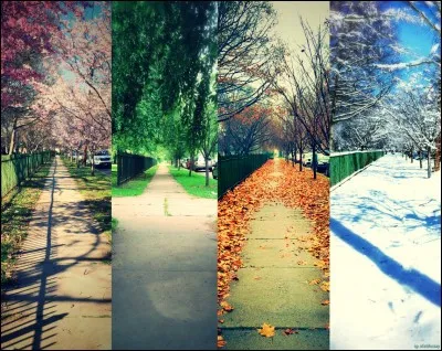 Quelle saison pr&eacute;f&egrave;res-tu ?