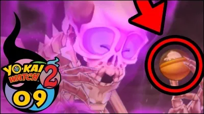 Comment s'appelle ce tas d'os ?