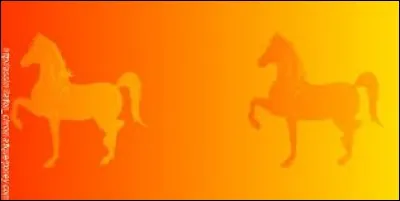 Ces chevaux sont exactement de la même couleur.