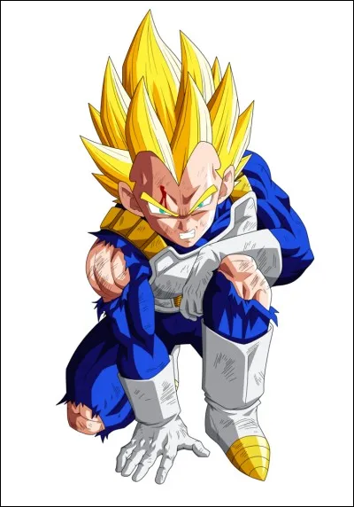 Dans quelle saga Vegeta se transforme-t-il pour la premi&egrave;re fois en Super Saiyan ?