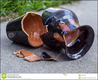 Ton chien a cassé ton vase préféré.