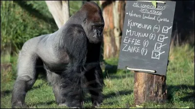 Tout ce que je peux vous dire, c'est qu'il vous salue bien !