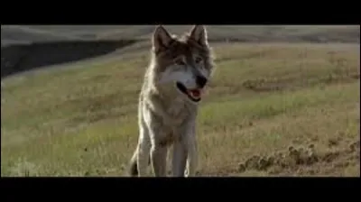 Allez-vous avoir la tête dans ... les chaussettes !