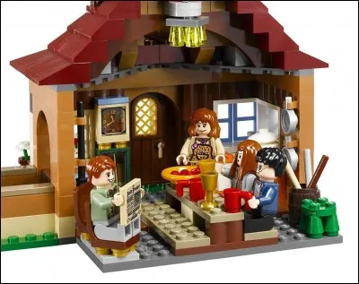 Comment s'appelle la maison de Ron Weasley ?