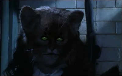 Comment s'appelle le chat de Hermione dans le 3e tome ?