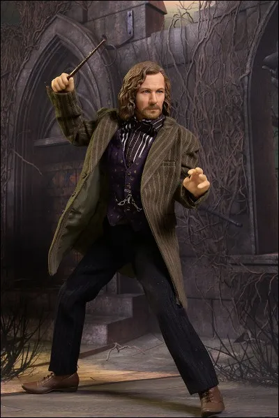 Quel est le lien de Sirius Black avec Harry Potter ?
