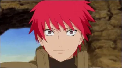 Qui a tué Sasori ?