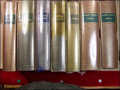 De quelqu'un qui vient d'entrer à la pléiade, on dit qu'il a été ... .