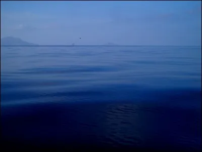 Quel mot ne convient pas à Jean d'Ormesson ?