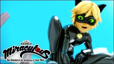 Qui est Chat Noir ?