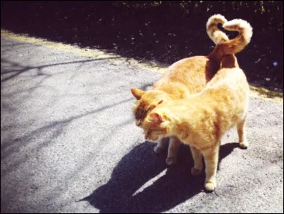 Qui sont ses parents ?