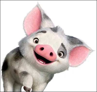 Quel est le nom de son cochon ?