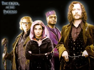 Combien de temps prend une formation d'Auror ? (Sans compter les sept ans de Poudlard)