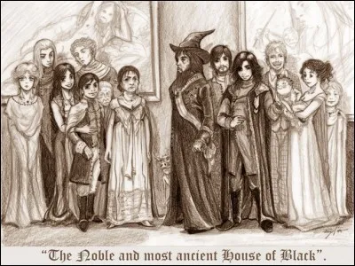 Quel membre de la famille Black préfères tu ?